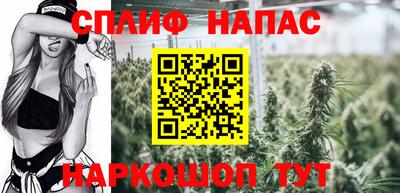амф Нальчик