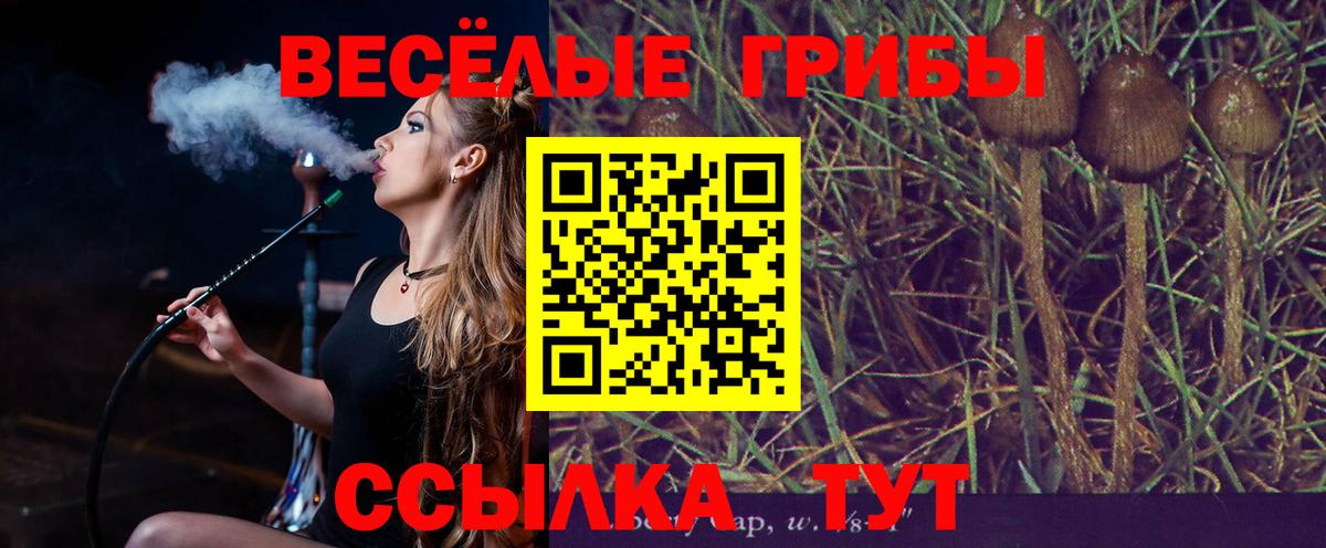 Галлюциногенные грибы мицелий  Вход с VPN  купить закладку  Бузулук 